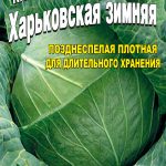 Капуста Харьковская зимняя пакет 3 грамма