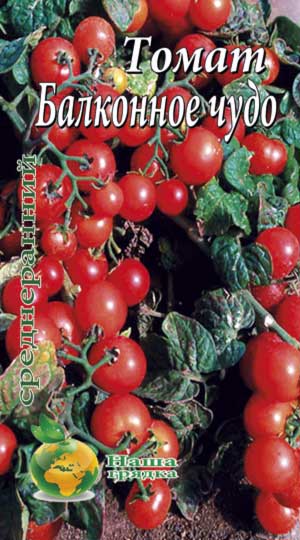 balkonnoe-chudo-tomat-1
