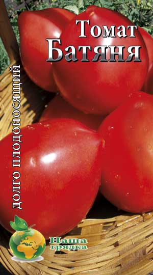 batyanya-tomat-1-1