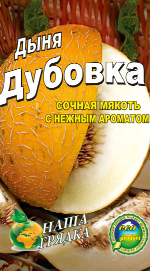 Диня Дубівка 40 насінин