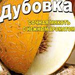 Дыня Дубовка пакет 30 семян