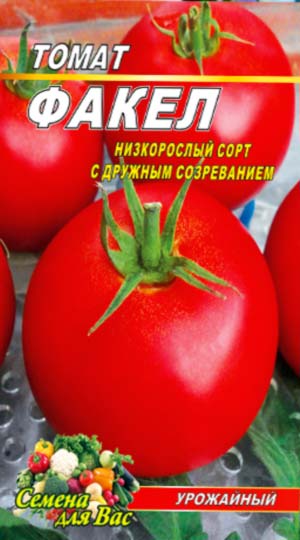 tomat-fakel