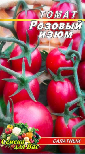 tomat-rozovyiy-izyum