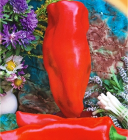 Перець солодкий Бивень