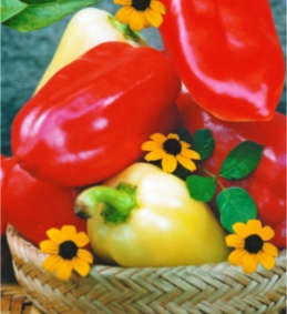 Перець солодкий Вікторія