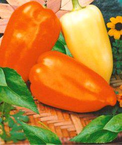 Перець солодкий Зоржа