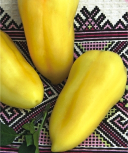 Перець солодкий Альба