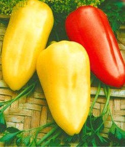 Перець солодкий Білозерка