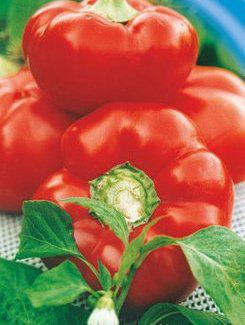 Перець солодкий Ратунда червона