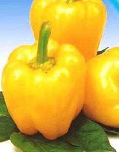 Перець солодкий Каліфорнійське диво золотий