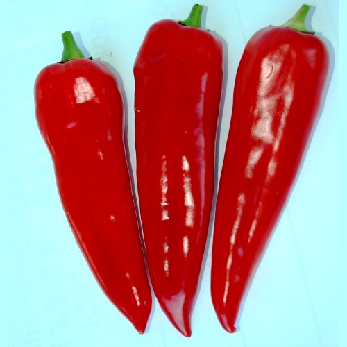 Перець солодкий Капія червона