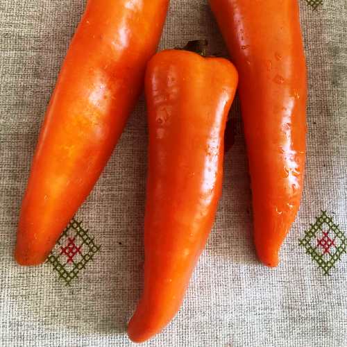 Перець солодкий Капія помаранчева