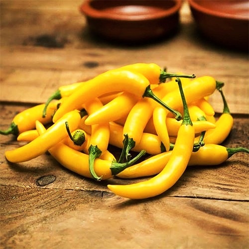 Перець гострий Угорський