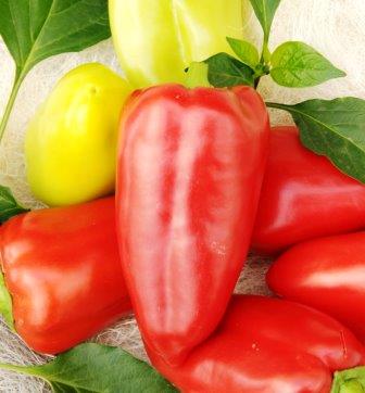 Перець солодкий Алєксій