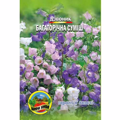 Дзвоник-Багаторічна-суміш