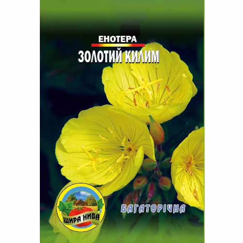 Енотера-Золотий-килим