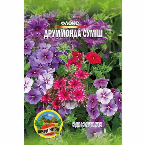 Флокс-Друммонда-суміш