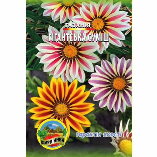 Газанія-Гігантська-суміш