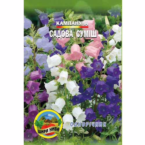 Кампанула-Садова-суміш