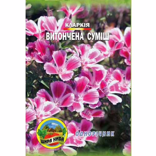 Кларкія-Витончена-суміш