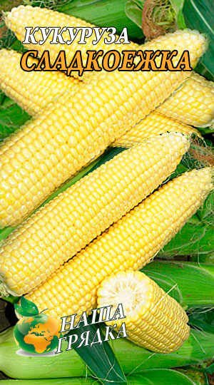 Кукуруза-Сладкоежка