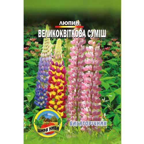 Люпин-Великоквіткова-суміш