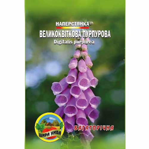 Наперстянка-Великоквіткова-пурпурова