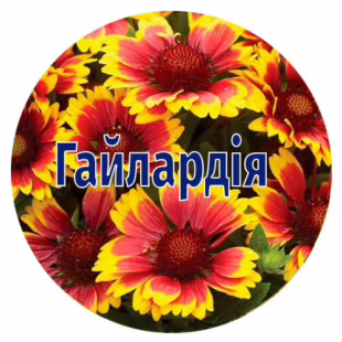 Насіння гайлардії