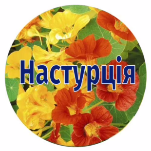 Насіння настурції
