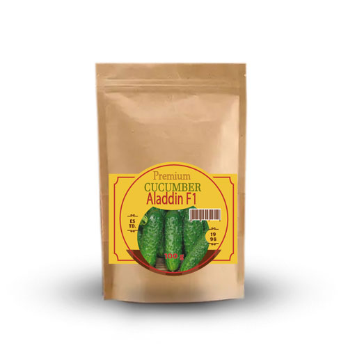 Огірок-бджолозапильний-Алладін-F1