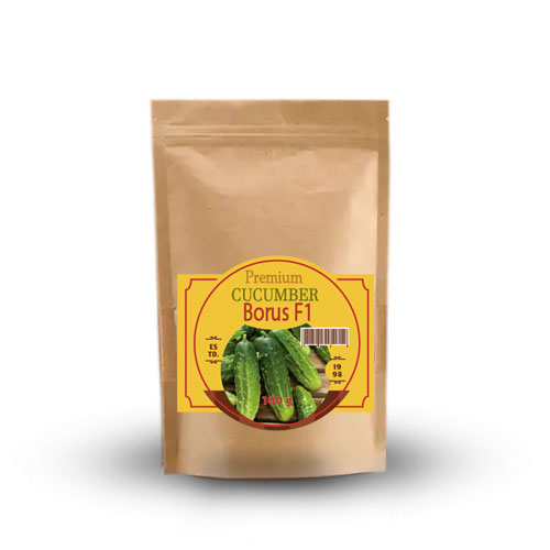 Огірок-бджолозапильний-Борус-F1