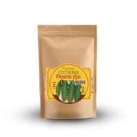 Огірок-бджолозапильний-Фенікс-плюс
