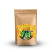 Огірок-бджолозапильний-Гермес-F1