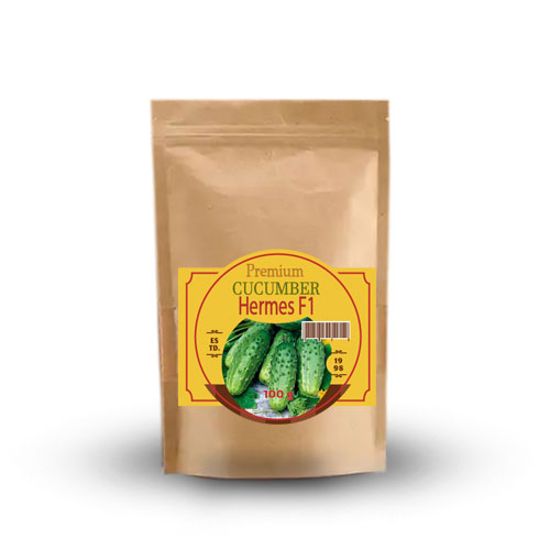 Огірок-бджолозапильний-Гермес-F1