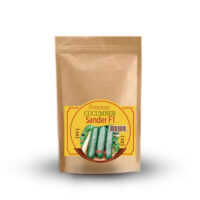 Огірок-бджолозапильний-Сандерс-F1