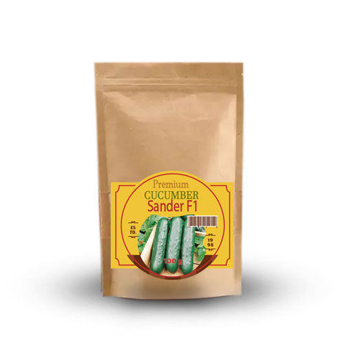 Огірок-бджолозапильний-Сандерс-F1