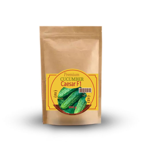 Огірок-бджолозапильний-Цезар-F1