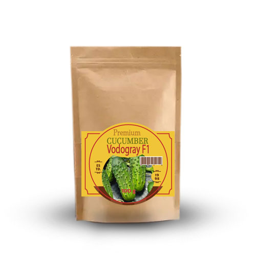 Огірок-бджолозапильний-Водограй-F1