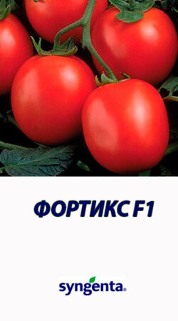 Tomat-FORTIKS-F1-Syngenta-5000-shtuk