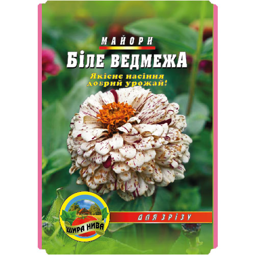 Цинія-Біле-ведмежа