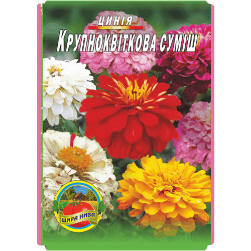 Цинія-Крупноквіткова-суміш