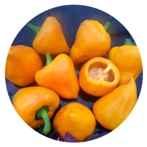 Вагове-насіння-перцю