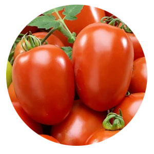 Вагове насіння томатів