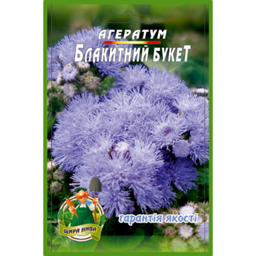 агератум-блакитний-букет-щира-нива