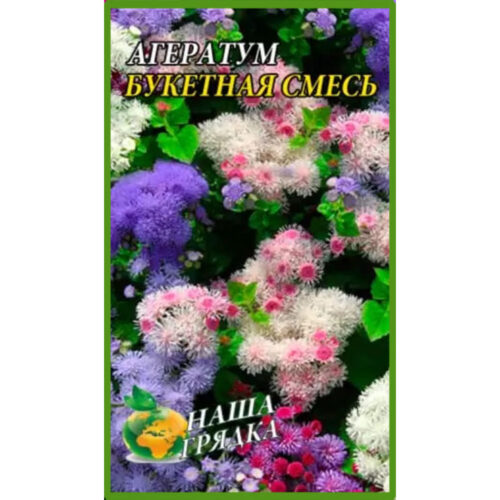 агератум-букетна-суміш