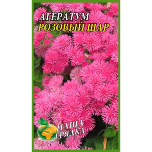 агератум-рожева-куля