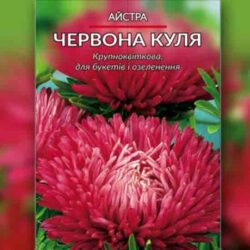 Айстра-Червона-куля