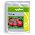 Syngenta AG насіння томатів