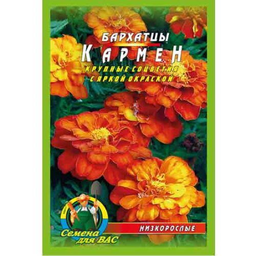 бархатцы-кармен