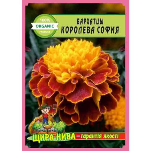 бархатцы-королева-софия